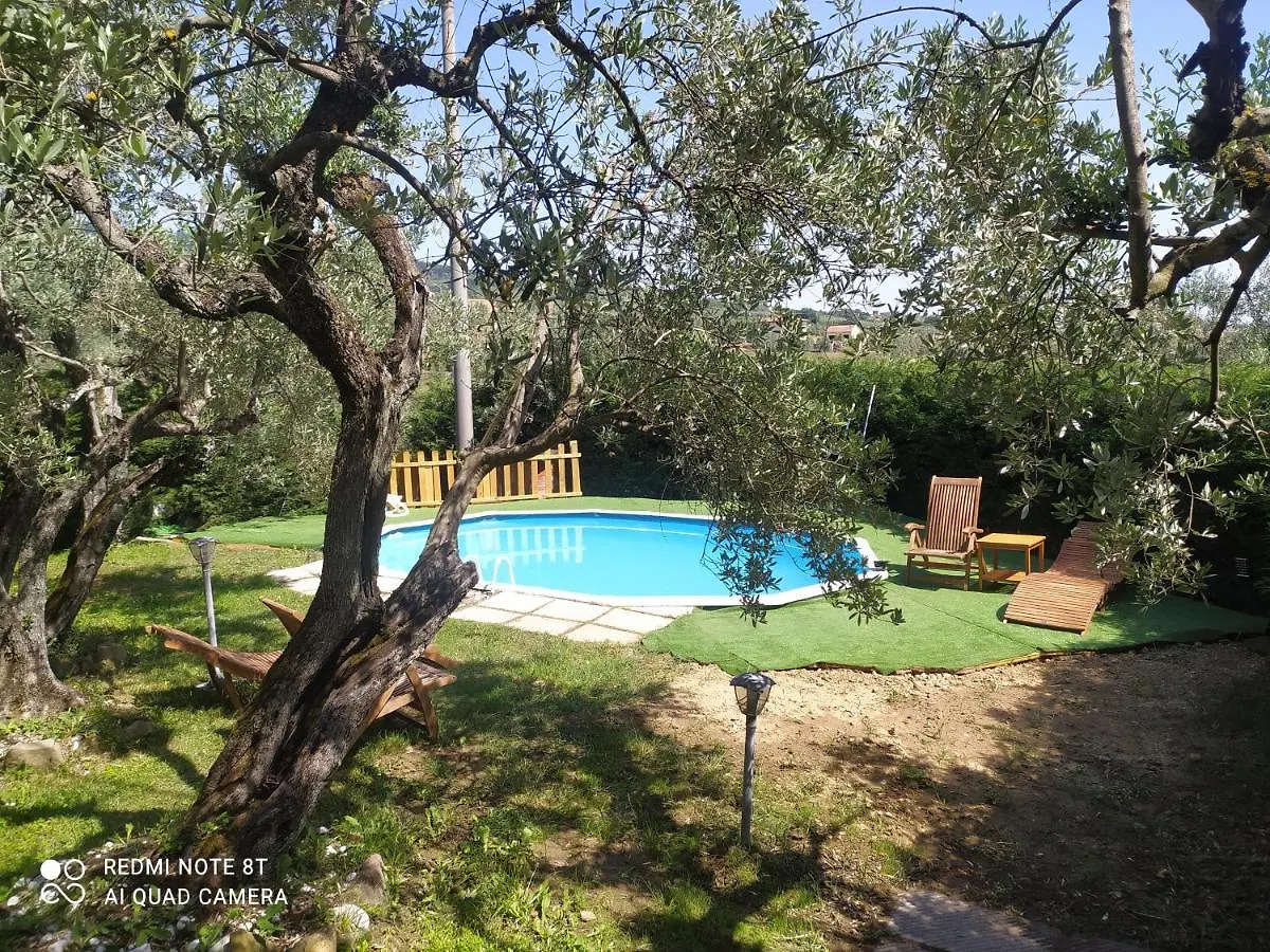 Il Borgo Dei Pini Apartment Vinci