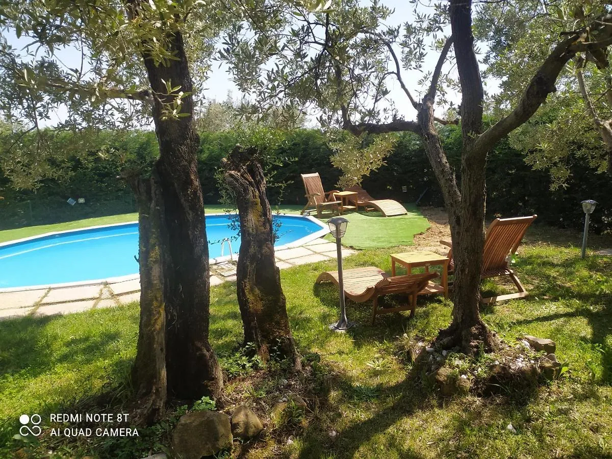 Il Borgo Dei Pini Apartment Vinci
