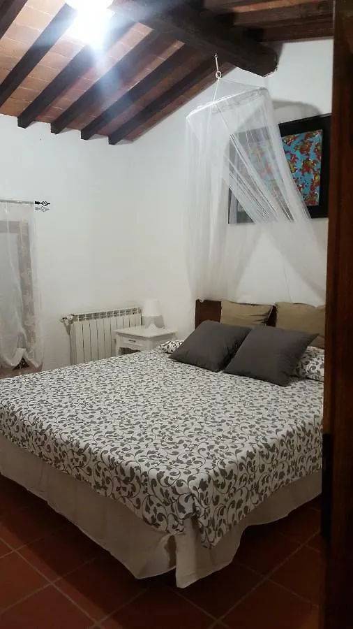 Il Borgo Dei Pini contacts