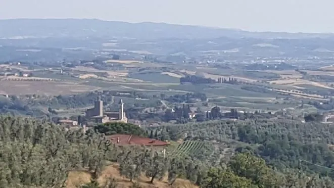 Il Borgo Dei Pini Apartment Vinci