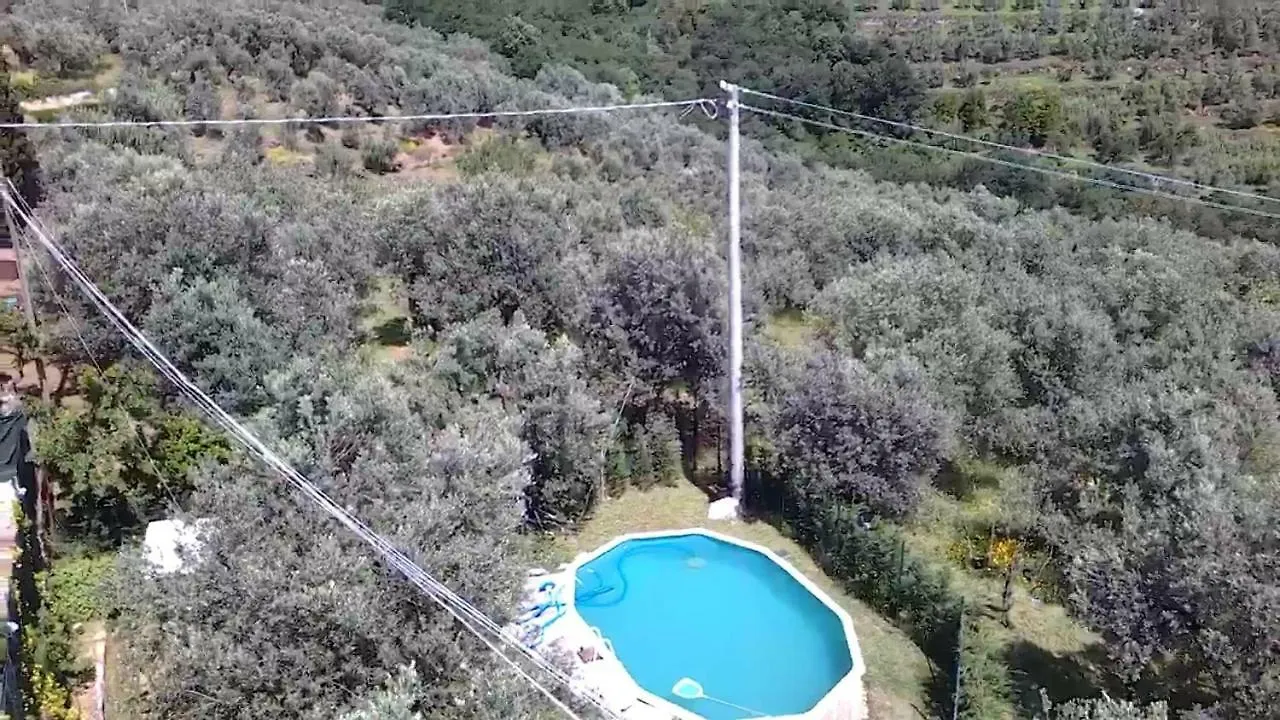 Il Borgo Dei Pini Apartment Vinci Italy