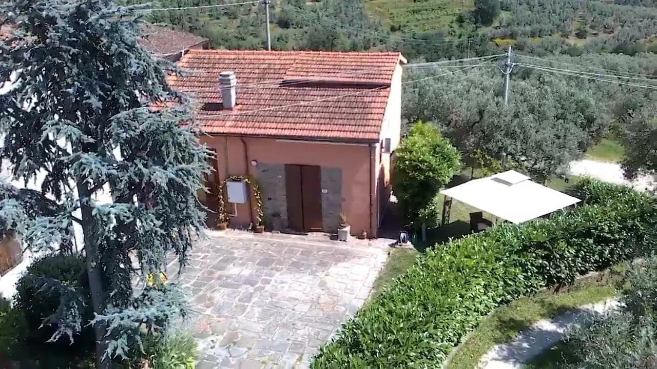 Il Borgo Dei Pini Apartment Vinci 0*,  Italy